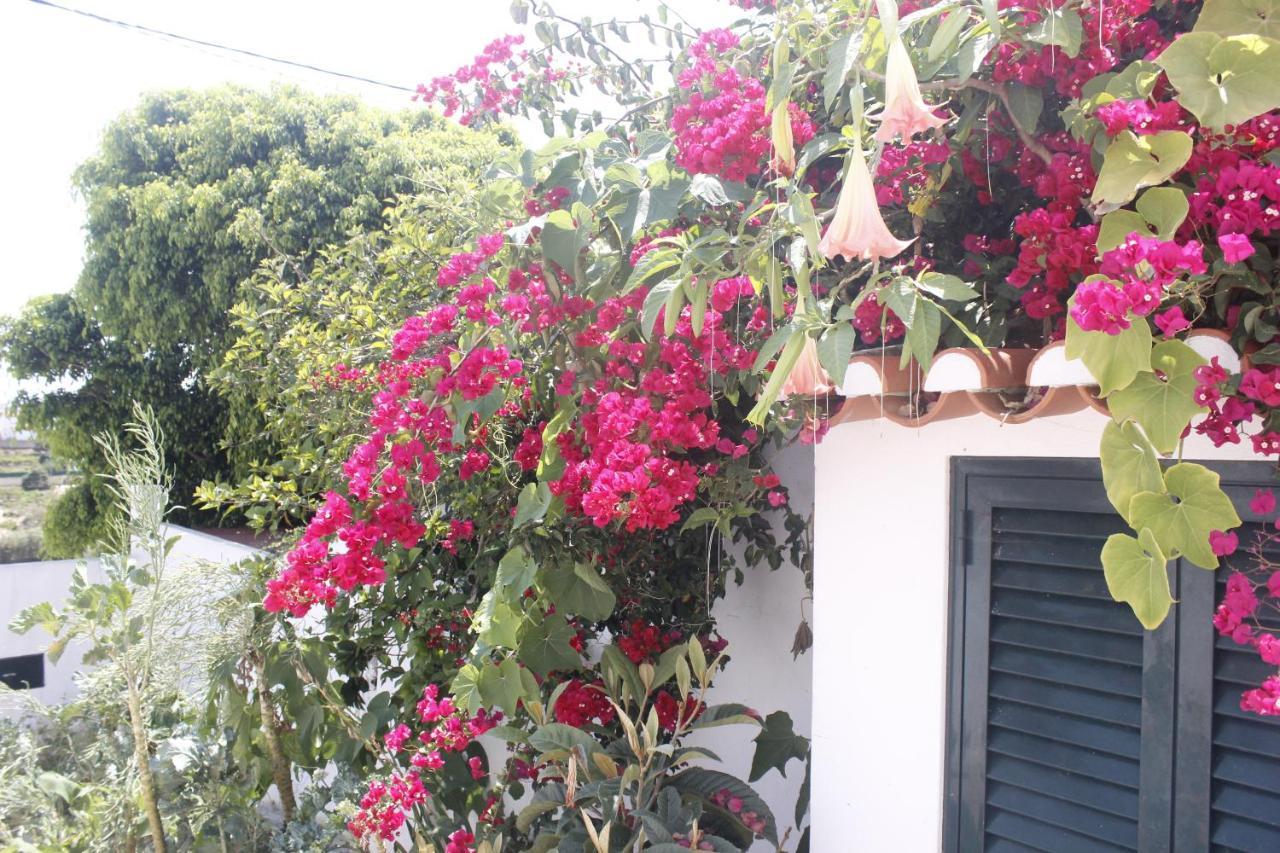 Casinha Da Andorinha - Ericeira Villa Eksteriør bilde